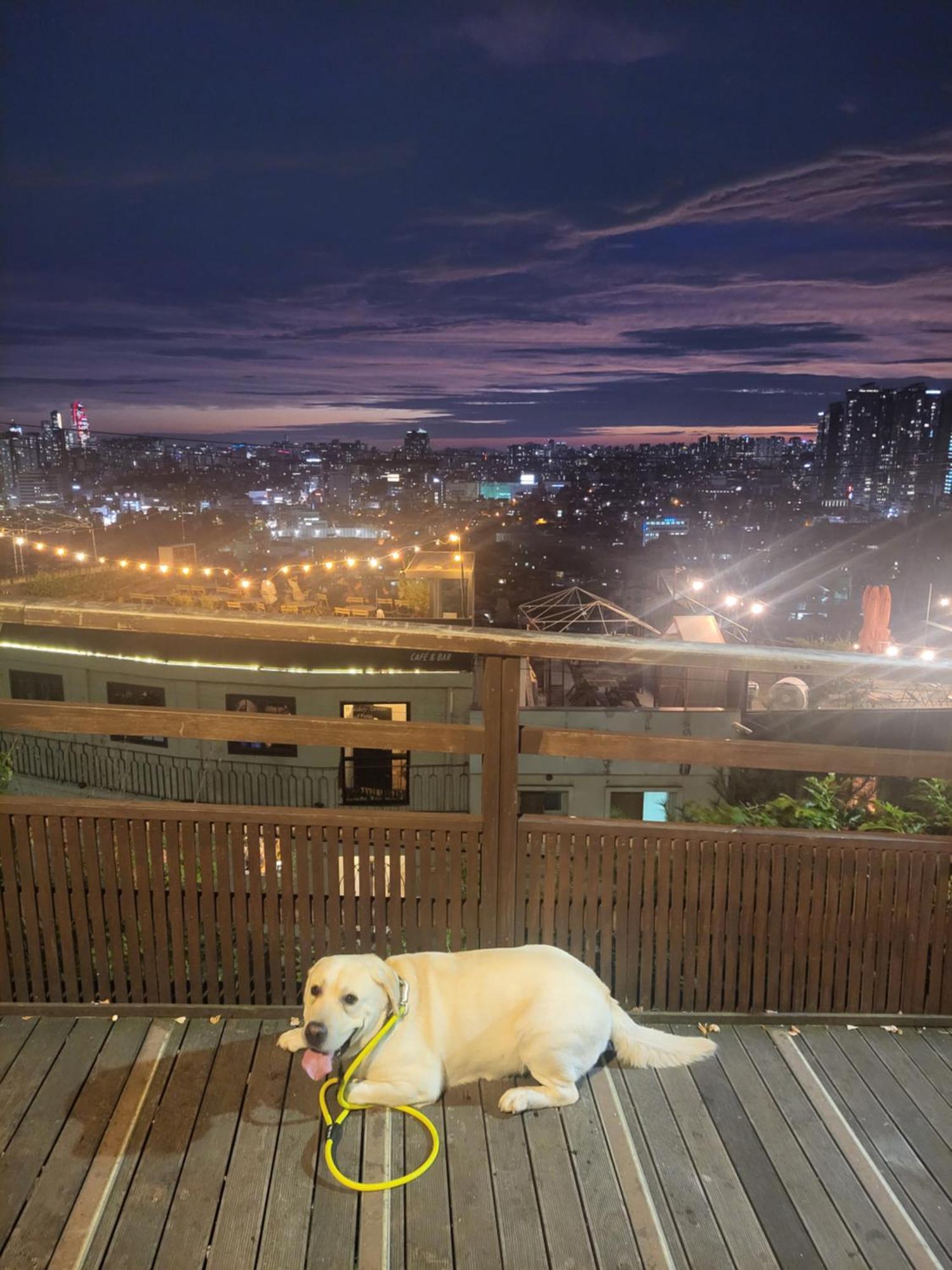 Cozy Private Home Newly Renovated #3 Seoul Exterior foto