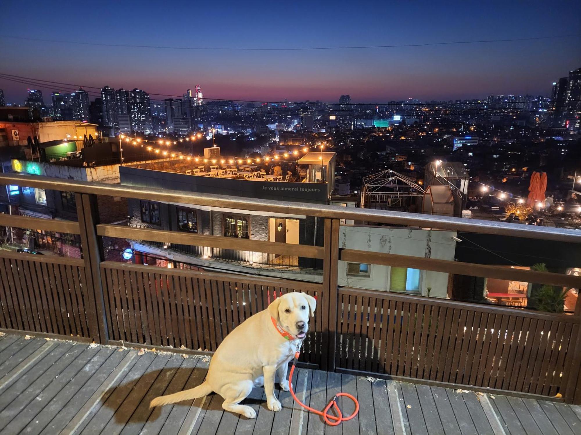 Cozy Private Home Newly Renovated #3 Seoul Exterior foto