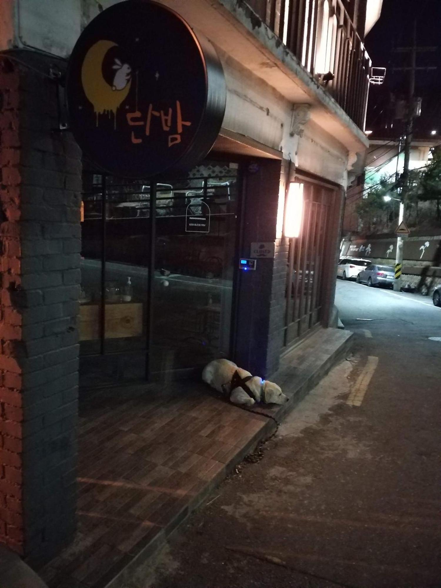 Cozy Private Home Newly Renovated #3 Seoul Exterior foto