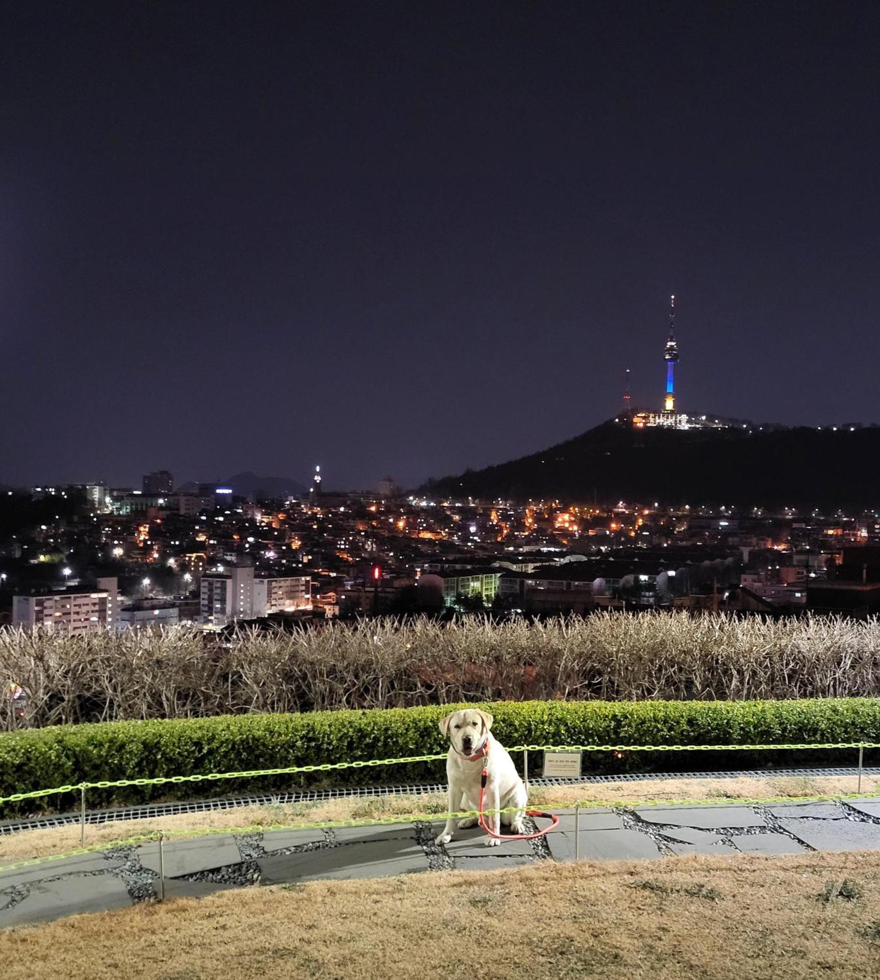 Cozy Private Home Newly Renovated #3 Seoul Exterior foto